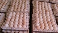 تخم مرغ دوباره دو نرخی شد