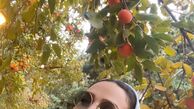 عکس پاییزی سوگل طهماسبی
