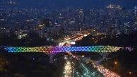 حادثه برای زن جوان در پل طبیعت