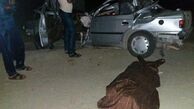 رئیس دادگستری جاسک بر اثر تصادف با شتر درگذشت
