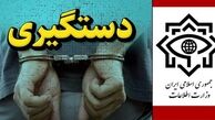وزارت اطلاعات یک تبعه سوئد را به اتهام‌ جاسوسی بازداشت کرد