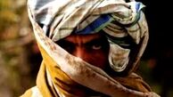 پیشروی طالبان در غرب «پلمخری»