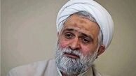 محمدیان:جریانی در جامعه یکی از مشکلات کشور را روحیه انقلابی می‌داند