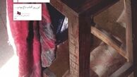 «گود»؛ برشی از تاریخ سیاسی ایران/ بخش هایی از رمان