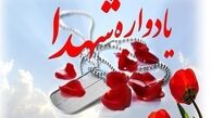 برگزاری یادواره شهدای محله روستای گوهرگان + فیلم