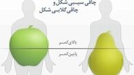 شما سیب هستید یا گلابی؟