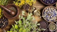 گیاهانی آرام بخش برای مقابله با استرس و اضطراب