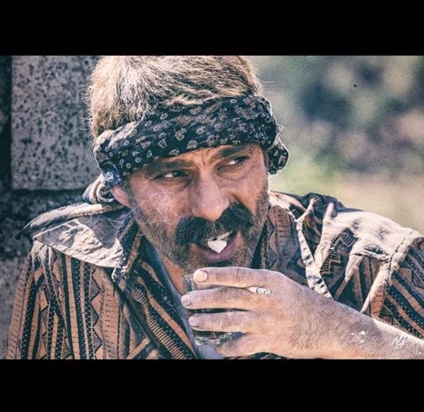 پیمان‌معادی در درخت گردو + عکس