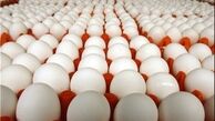 قیمت تخم مرغ روند نزولی گرفت / ۴۴ هزار تومان؛ هر شانه