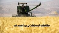 ۹۰ درصد مطالبات گندمکاران پرداخت شد