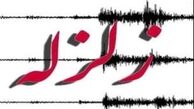 دو زلزله ۵ ریشتری آلاسکا و ژاپن را لرزاند