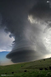 resized_1098021_732