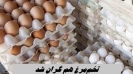 تخم‌مرغ هم گران شد ؛ شانه ای ۴۲۰  هزار تومان !