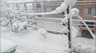 آماده‌باش تمام شرکت‌های آب و برق تا پایان زمستان