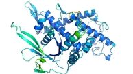 هوش مصنوعی گوگل و پیش بینی DNA