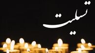 پیام تسلیت دکتر محمد مخبر به برادران جلیلی