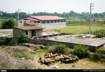 1438529891424_Mostafa Shanechi-5