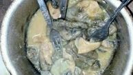 خوردن گوشت گربه در سیستان و بلوچستان به کجا رسید؟