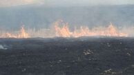 صدای این روزهای هورالعظیم