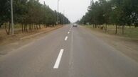 افشای راز جسد کنار جاده توسط مامور پلیس‌راه