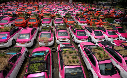 کاشت سبزه روی سقف تاکسی های بیکار شده در تایلند + عکس