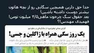 توئیتر::شغلی به نام «چرخاندن سگ» و دستمزد عجیبش