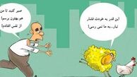 افزایش قیمت تخم مرغ و گوسفند ادامه دارد!