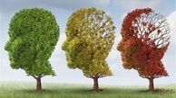 دستورات طب سنتی برای جلوگیری از آلزایمر 