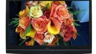 گزارشی از ویژه‌ برنامه‌های سحر تلویزیون در ماه رمضان