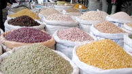 لوبیا چیتی طلا شد ؛ کیلویی ۵۰۰ هزار تومان !