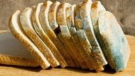جلوگیری از کپک زدن نان با چند ترفند ساده ؛ طرز تهیه نان ساده در خانه