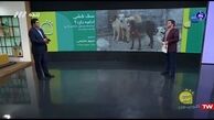 اعتراض بازیگر دلدادگان به شهرداری
