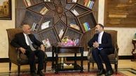 بزودی نظام سرپرستی در افغانستان را پایان می‌دهم