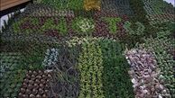 جزئیات برنامه‌های شهرداری تهران در استقبال از بهار