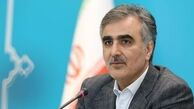 فرزین : بانک‌ها در تسهیلات خرد فقط یک ضامن مطالبه کنند