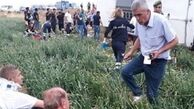  45 کشته و زخمی در حادثه واژگونی اتوبوس در ترکیه