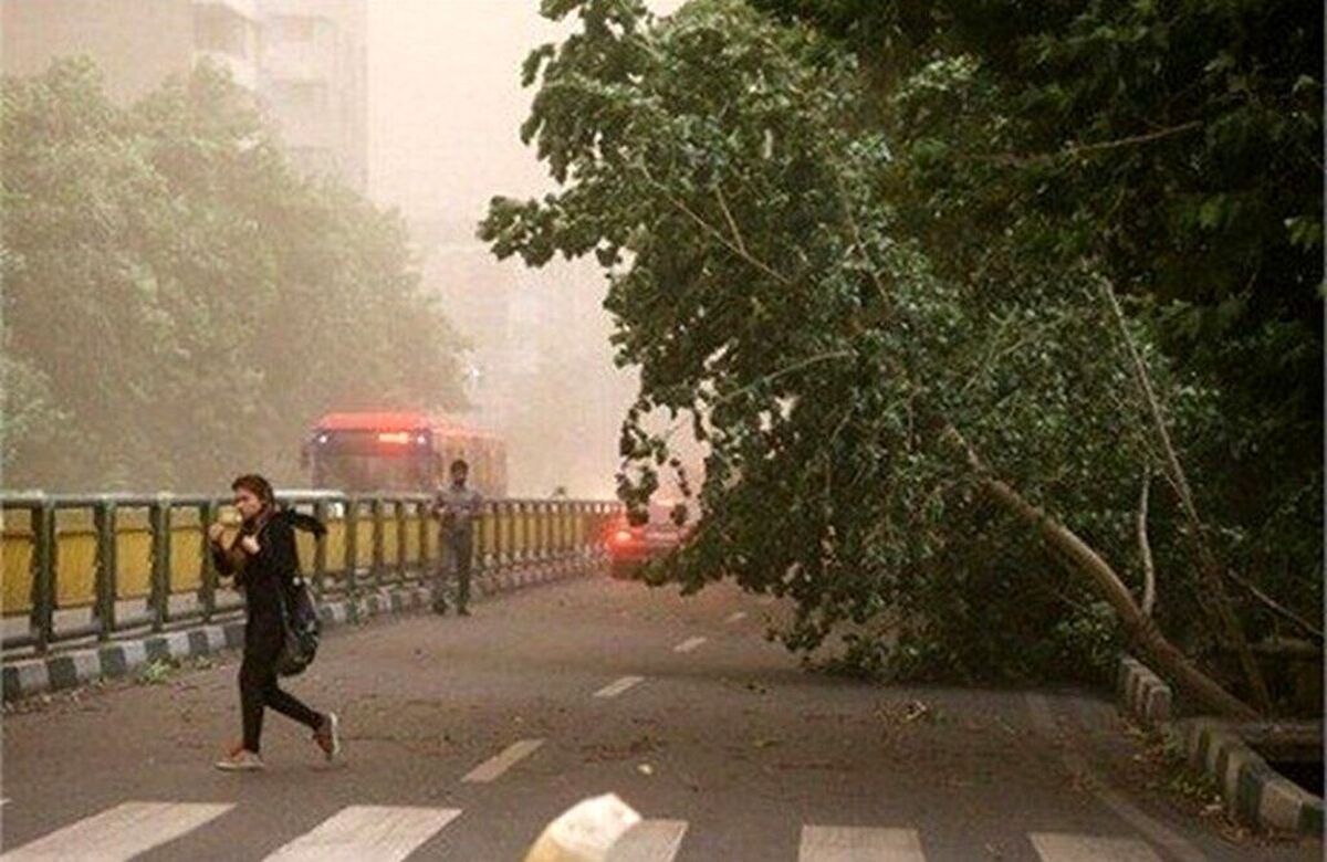 وزش باد شدید از امشب در تهران