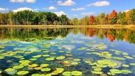 تصویر هوایی از پل چوبی آبکنار در انزلی