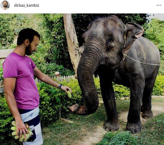 کامبیز دیرباز در تایلند + عکس