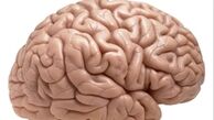  ورزش مغز را از خطر ابتلا به بیماری آلزایمر دور نگه می دارد