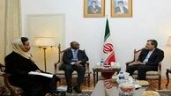 اعلام آمادگی ایران برای گسترش همکاری ها با «آفریقا»