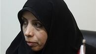 امین زاده:وظیفه دفاع از پرونده کرسنت برعهده وزارت نفت بود