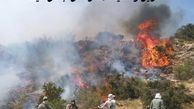 آخرین وضعیت مهار آتش جنگل هیرکانی الیت