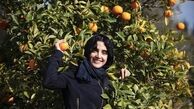 الهه حصاری در باغ پرتقال +عکس