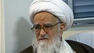 آیت‌الله صافی گلپایگانی:عزت مملکت در اقتدار نیروهای مسلح است