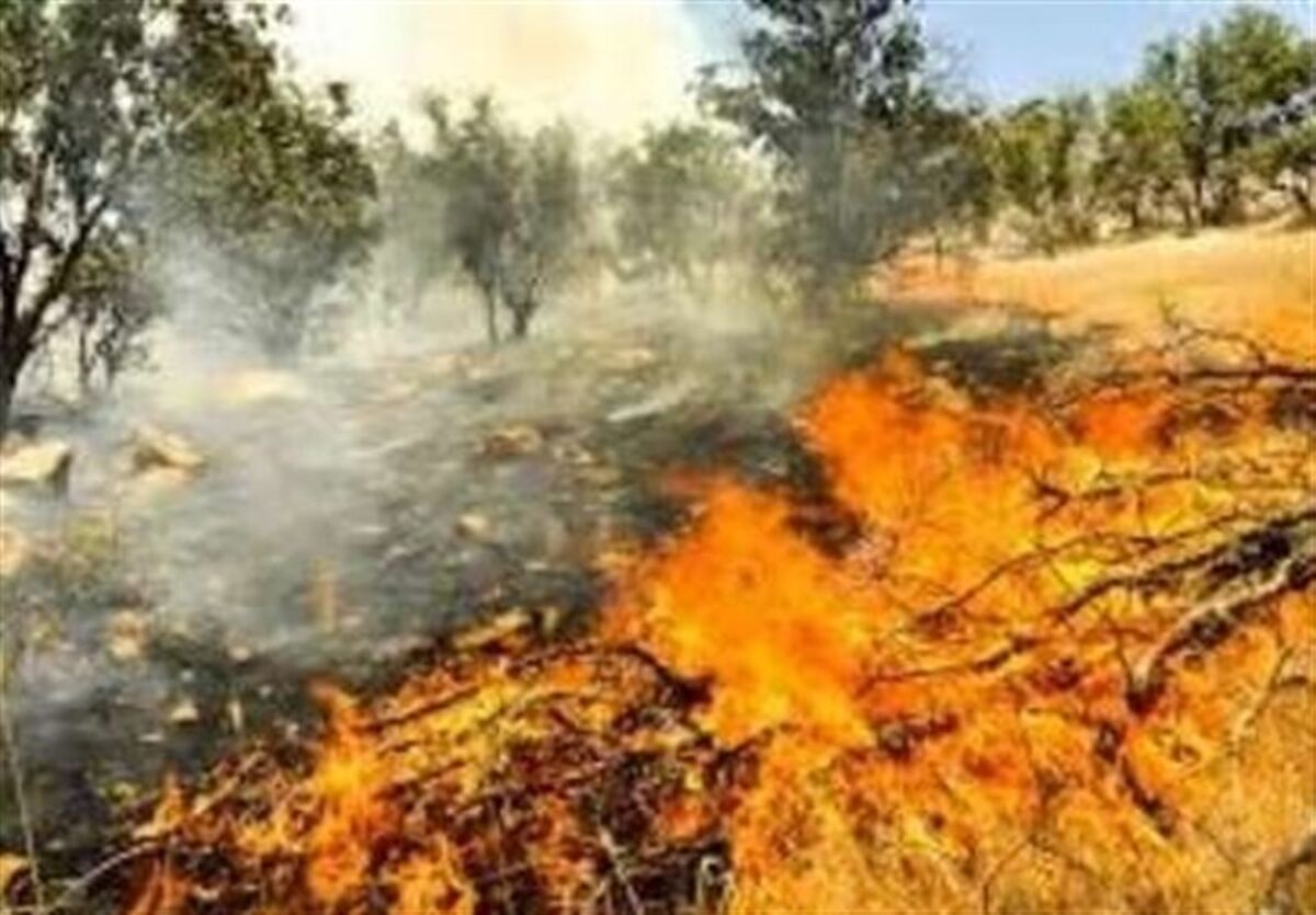  بدون شک آتش‌سوزی اخیر در سمنان آخرین آتش‌سوزی انبارها نخواهد بود