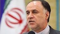 حاجی بابایی رئیس فراکسیون ولایت شد