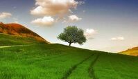 راه هایی برای زیباتر کردن زندگی