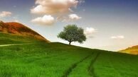راه هایی برای زیباتر کردن زندگی