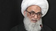 آیت اله بشیر نجفی از مراجع شیعه عراق فتوای دادند